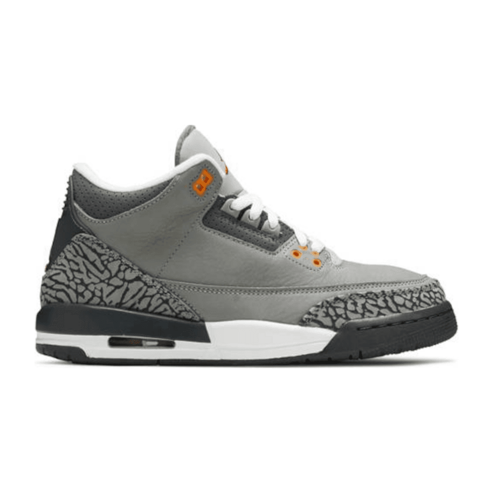 Tenis Jordan 3 Cool Grey